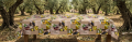 Gemini_Generated_Image_ilwb45ilwb45ilwb.png