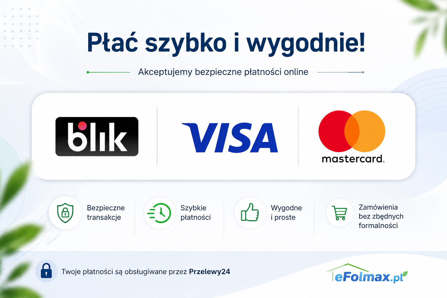 visa